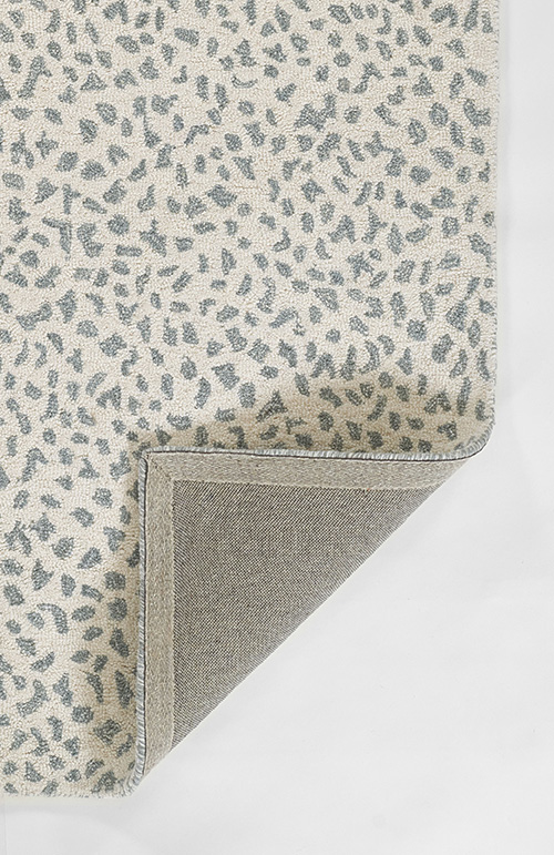 DESIGN: CHR-2
